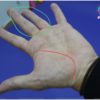 【手相占い師百歩鑑定】Sディレクター生命線にふくらんだカーブ有り【短気を治せばストレス半減】